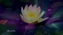 Giovanni Marradi - Peacefully