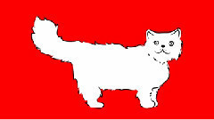 Teo, El Gato Persa Rinde Su Declaracion