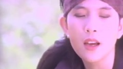 潘美辰 - 无路可退