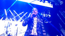Robbie Williams - Love My Life 现场版2016