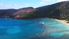 我的夏威夷之旅