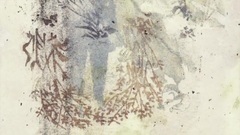 Hoppipolla (Planet Earth II Mix)