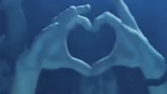 Anatomy Of Aa Megamix