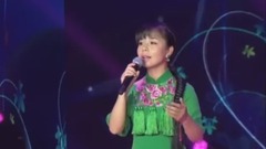 王二妮 - 走西口