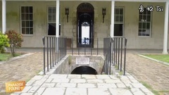 Paradise Found Jamaica