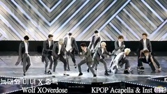 Wolf & Overdose Mash-Up