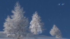 Yanni - YANNI - To Take... To Hold