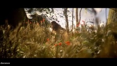 Yanni - YANNI - Spirit of nature