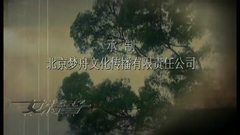 张旭 - 为你钟情