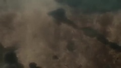 影视原声 - 阿修罗