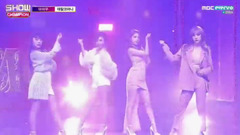 Decalcomanie - Show Champion 现场版 16/11/30