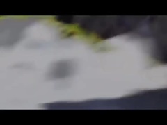 影视原声 - 电影<名侦探柯南:业火的向日葵>先行版预告片