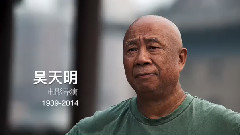 影视原声 - 百鸟朝凤