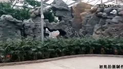 古典园林艺术欣赏