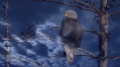 Watch Over My Dreams