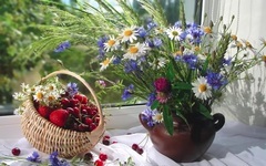 A New Day Ernesto Cortazar