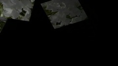 Бяла нежност