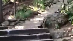 最著名奇景安徽黄山