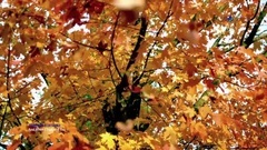 Ernesto Cortazar - And When I Touched You