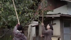 影视原声 - 电影<小森林 夏秋篇>预告片