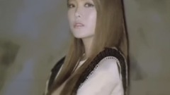 洪真英 - 月亮代表我的心