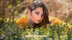 Echoes Of Love(爱的回声)