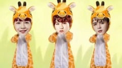 <只因你太美>可爱版