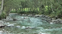 The Two Shepherds(两个牧羊人)