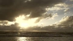 Celebrate The Summer