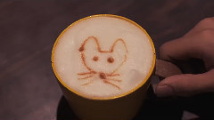 影视原声 - 迷宫咖啡馆