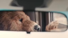 影视原声 - 她的传说-主题曲<梦中的爱>MV 演唱:汤唯