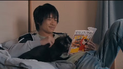 影视原声 - 电影<为什么猫都叫不来>