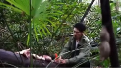 影视原声 - 电影<停止>预告片