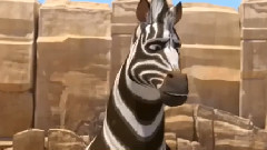 影视原声 - 电影<斑马总动员>先行版中文预告片