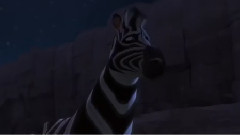 影视原声 - 电影<斑马总动员>剧场版中文预告片