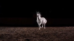 Leonard Cohen - Dance Me To The End Of Love