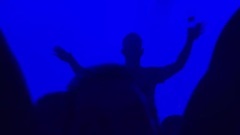 Cappella - Move on baby (gypnorion remix)