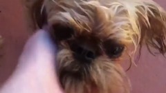 Unusual Way To Clean Your Mouth