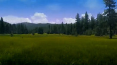 Sound Of Violence (Screenplay)