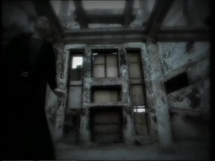 Черный ворон