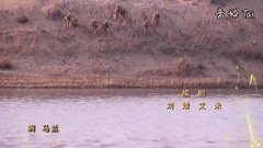 影视原声 - 马兰谣