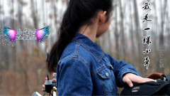 胡大亮 - 我是一棵小草