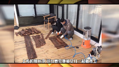 台哥要报报:郑爽“消失”一个月后露面 晒父女做木工照片