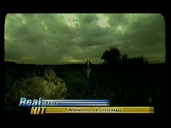 Хмель и солод