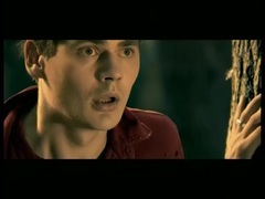 Лебедь белая