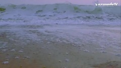 Feenixpawl - Quicksand