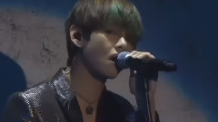 花样年华on stage DVD版