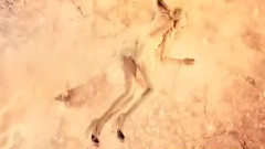 影视原声 - 电影<东成西就2011>人物版预告片