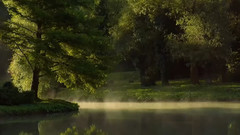 Bandari,音乐短片 - New Morning