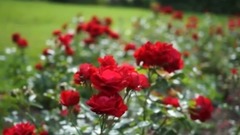 王心凌 - 到哪里找我这么好的人